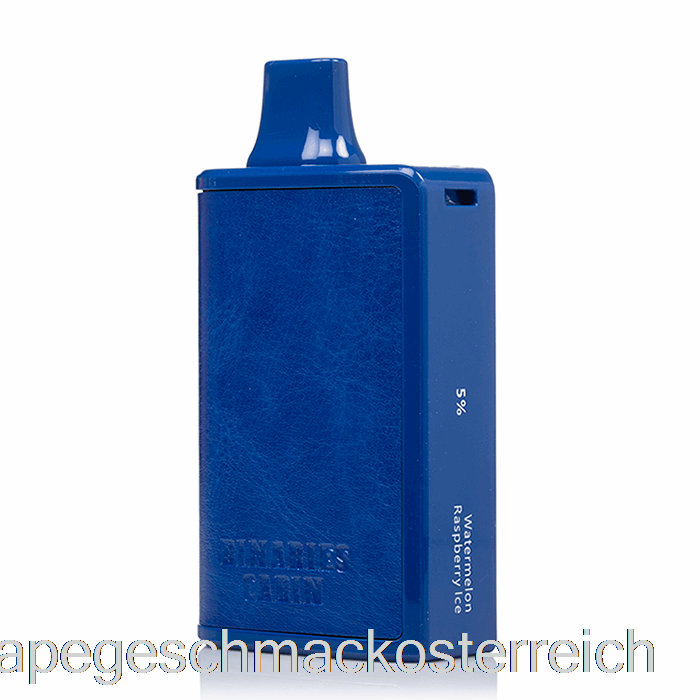 Horizon Binaries Cabin 10000 Einweg-Wassermelonen-Himbeer-Eis-Vape-Geschmack